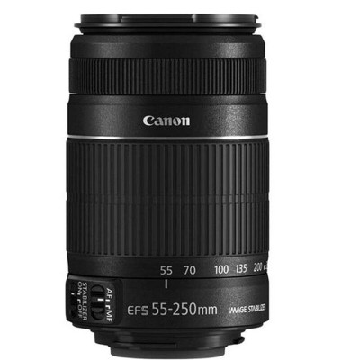[二手99新]佳能(Canon) 55-250 STM镜头 标准变焦单反相机镜头 拆机镜头 标准人像镜头