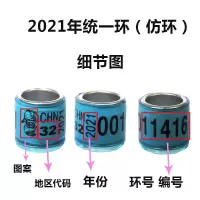 鸽子脚环信鸽用品用具足环记号环2021年统一环外国环鸽子用品鸽环 01北京 2021年1件10个(仿环)