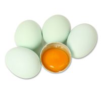 五黑鸡种蛋五黑一绿种蛋可孵化受精蛋散养新鲜乌鸡种蛋绿壳蛋 10枚绿壳