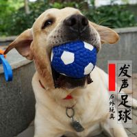 宜特宠物玩具发声拉布拉多金毛大型犬磨牙耐咬训练用品球狗玩具 发声足球-大号