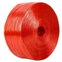 [山东省]捆扎绳捆绑绳绳子粗绳细绳尼龙草尼龙绳彩色绳子 红色2厘米 500克