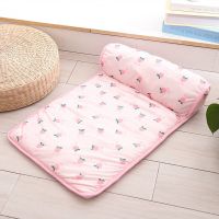 夏季清凉垫 猫狗冰丝垫 凉感宠物垫子降温垫泰迪猫咪用品沙发床 粉色樱桃 小号(60*40cm)