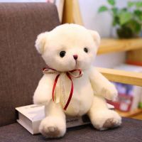 可爱白色小熊公仔玩偶泰迪熊毛绒玩具抱抱熊布娃娃儿童女新年礼物 白色小熊 全长33cm(坐高25cm)