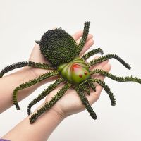仿真大号毛蜘蛛模型软胶捏捏叫假蜘蛛儿童玩具 昆虫动物模型 超大号毛蜘蛛