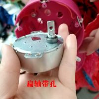 灯笼电机马达 led旋转灯笼专用电机 220v 灯笼配件 七彩灯笼电 扁轴带孔