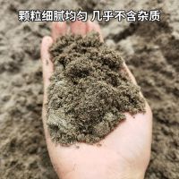 沙子河沙散装建筑用沙砂石细沙粗沙沙包用沙黄沙土沙子水泥 细河沙10斤