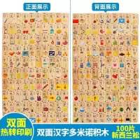汉字多米诺骨牌100片早教认知积木儿童益智玩具3-4-5-6岁男女孩 双面汉字100片+收纳袋