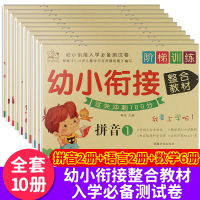 幼儿园教材全套早教幼小衔接小中大班练习题书籍 数学题整合一日一练拼音拼读学前班升一年级衔接 试卷测试卷学前训练练习册天天