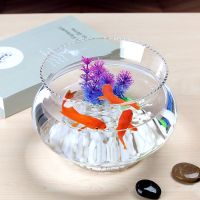玻璃鱼缸透明小型圆形花边客厅招财创意乌龟缸生态鱼缸水培造景缸 高性价比超白鱼缸 14花边裸缸