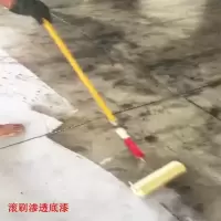 水墨艺术地坪漆 环氧树脂地漆 彩色水泥地面漆 DIY创意仿古地坪漆 水墨底漆/kg