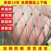 家禽养殖网养鸡网尼龙网围网果园防鸟网山鸡防飞天网菜园网爬藤网 1米高10米长养鸡网