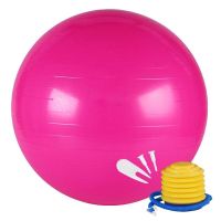 [瑜伽球 ]瑜伽球减肥健身球 加厚防爆 可承重500斤 粉色 直径25cm小球不送气筒