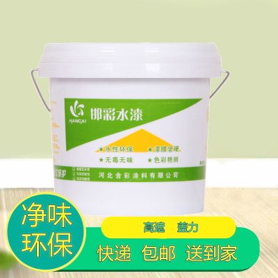 乳胶漆涂料白色内墙漆彩色室内家用环保漆修补墙漆粉刷墙面漆油漆 白色 2斤装(不送工具)