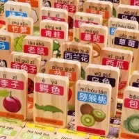 水果动物木制汉字多米诺骨牌 圆角100片儿童早教益智识字认字积木 图片色 默认