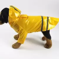2021新款狗狗雨衣PU反光雨衣泰迪比熊宠物衣服小型犬泰迪宠物雨衣 黄色 S