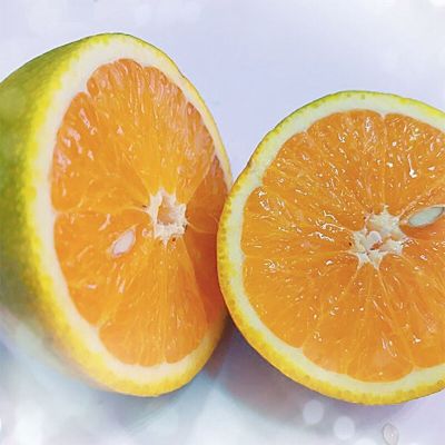 夏橙新鲜橙子高山夏橙脐橙手剥橙应季孕妇水果秭归脐橙当季现摘橙 [带箱1.5斤] 尝鲜小果
