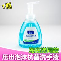 唯洁雅泡沫洗手液450ml儿童宝宝家用健康呵护芦荟清香抗菌杀毒 1瓶 450毫升 洗手液