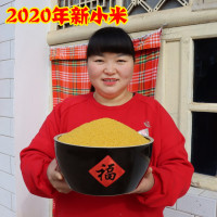 2020年陕北新香谷小米2.5斤起()_1.25kg