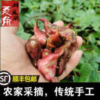 湖南洞庭湖新鲜老菱角5斤顺丰_家菱角5斤顺丰