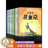 [醉染正版]全套10册 昆虫绘本大全注音版法布尔昆虫记图鉴百科全书幼儿版科普类书籍少儿科学大百科幼儿园昆虫绘本读物亲子幼