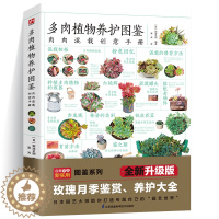 [醉染正版]多肉植物养护图鉴简单易懂多肉植物混栽创意手册30余种多肉混栽创意70余种多肉植物介绍基本养护法零基础养多肉养