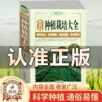 [醉染正版]正版 新农村蔬菜种植栽培大全 大白菜马铃薯黄瓜辣椒茄子番茄韭菜大葱种植书 病虫害防治 大棚蔬菜栽培技术品