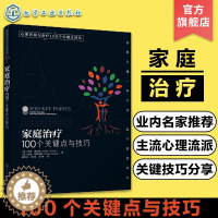 [醉染正版]心理咨询与治疗100个关键点译丛 家庭治疗 100个关键点与技巧 心理问题诊断治疗技术情绪疏导心理咨询 心理