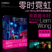 醉染图书零时霓虹 Liam Wong 都市夜景摄影集9787535699251