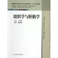 醉染图书组织学与胚胎学/临床/张国境9787534594526