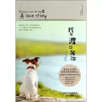 醉染图书我在渡口等你9787201086491