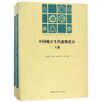 醉染图书中国晚古生代孢粉化石9787312040801