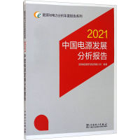 醉染图书中国电源发展分析报告 20219787519858278