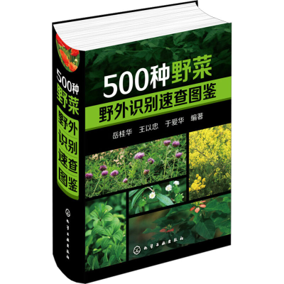 醉染图书500种野菜野外识别速查图鉴9787122245977