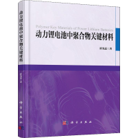 醉染图书动力锂电池中聚合物关键材料9787030580290