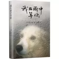 醉染图书我在雨中等你9787544272681