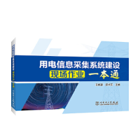 醉染图书用电信息采集系统建设现场作业一本通9787519837983