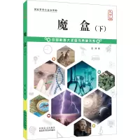 醉染图书魔盒(下) 大字版9787500291305