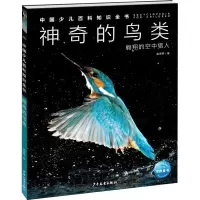 醉染图书的鸟类9787558911132