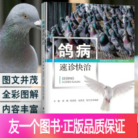 肉鸽养殖书籍 鸽子常见病 多发病新发病的鉴别诊断与方法养鸽子的书籍