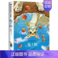 兔子坡 [正版]国际大奖儿童文学系列全套中国经典名著小学生课外阅读书籍3-6年级4小学课外读物三四五六年级课外书必读