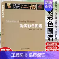 [正版]禽病彩色图谱 陈理盾 鸡鸭鹅养殖疾病诊断治疗书籍高效养鸡技术大全常见养鸡疾病诊断与防护临床症状病理变化诊断和防治