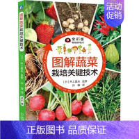 [正版]图解蔬菜栽培关键技术蔬菜种植技术大全农业种植无土栽培技术大棚水培蔬菜病虫害图谱与防治百科书籍土豆萝卜辣椒种用药家