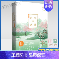 [正版]宋词素描 新版 曾冬意境读本 中国古诗词鉴赏辞典古代诗词文学中学生小学生初中生课外读物书目书籍 诗词素描书籍