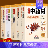 [正版]全新 全五册常用中药材识别应用图中草药识别应用图谱 精致中草药工具丛书 中医中药学习 中药材中草药鉴别辨别中医口