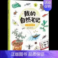 古怪的房客 [正版]博集天卷我的自然笔记全5册文津图书奖得主芮东莉自然探索科普绘本7-8-9-10-11-12-13-1