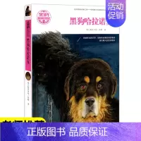 [正版]黑鹤动物文学精品系列黑狗哈拉诺亥 中国儿童文学动物小说 四五六年级中小学生初中生版课外阅读故事书 7-8-10-