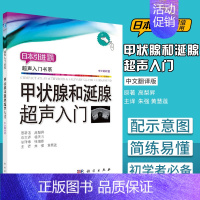 [正版]甲状腺和涎腺超声入门 朱强黄慧莲主编 2018年12月版 搭超声检查规范化报告正常值疾病诊断及扫查技巧图解解剖掌