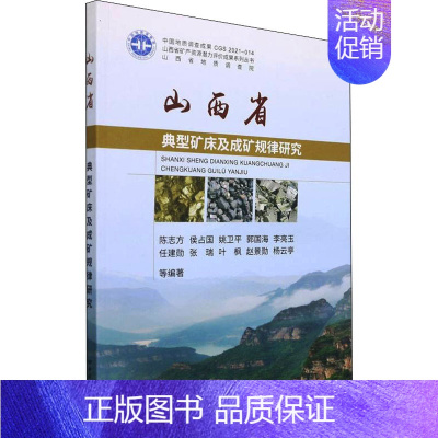 [正版]山西省典型矿床及成矿规律研究 陈志方 等 编 地球物理学专业科技 书店图书籍 中国地质大学出版社