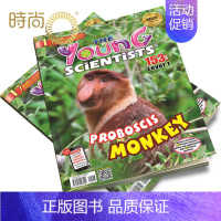 [正版]Young Scientists lv1 小小科学家 阶段1 杂志2024年全年杂志订阅一年共10期 1月起订