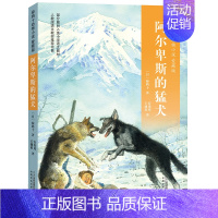 椋鸠十动物小说04:阿尔卑斯的猛犬 [正版]椋鸠十动物小说全集爱藏本全套10册野鸭的友情孤岛野犬野性的呼唤6-12岁